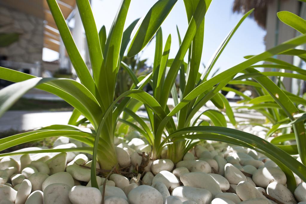Sade Alacati Hotel Bagian luar foto